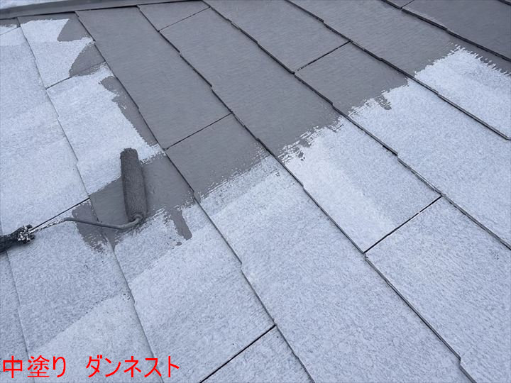 中塗り　ダンネスト